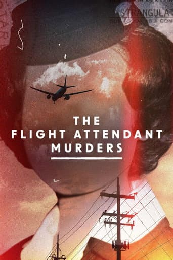 The Flight Attendant Murders afişi