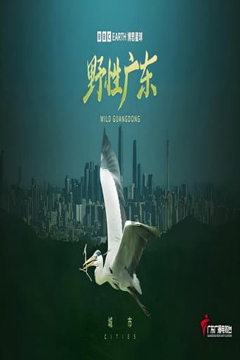 China's Wild Guangdong afişi