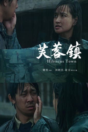 Hibiscus Town afişi