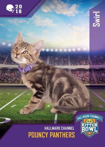 Kitten Bowl VIII Special afişi