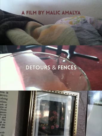 Detours and Fences afişi