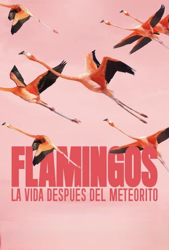 Flamingos: La vida después del meteorito afişi