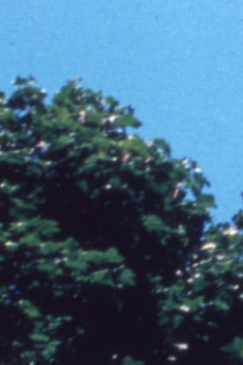 Treefall afişi