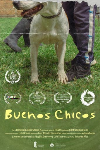 Buenos Chicos afişi