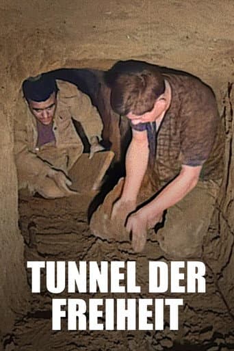 Tunnel der Freiheit afişi