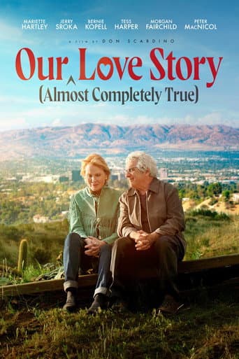Our (Almost Completely True) Love Story afişi
