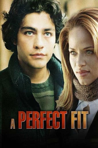 A Perfect Fit afişi