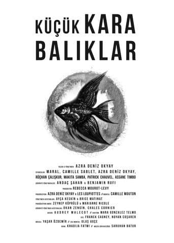 Küçük Kara Balıklar afişi