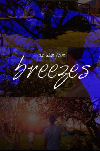 Breezes afişi