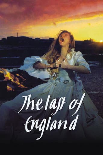 The Last of England afişi