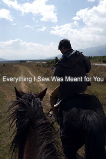 Everything I Saw Was Meant for You afişi