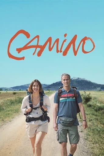 Camino afişi