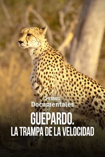 Cheetah – Speed Trap afişi