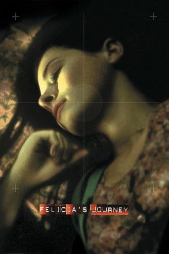 Felicia's Journey afişi