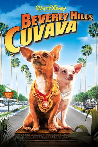 Beverly Hills Çuvava afişi