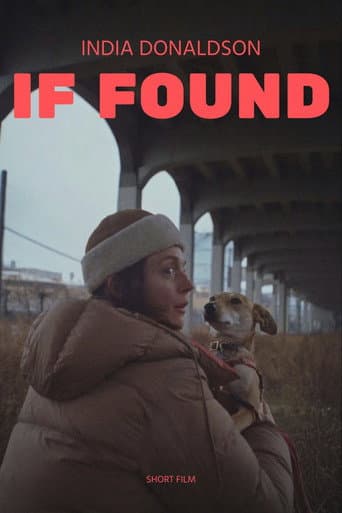 If Found afişi