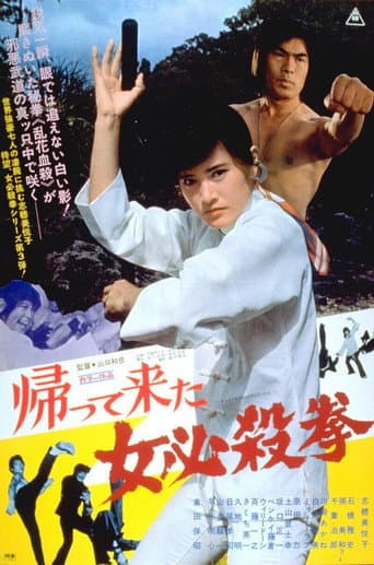 The Return of Sister Street Fighter afişi
