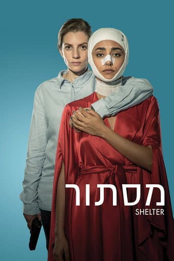 Shelter afişi