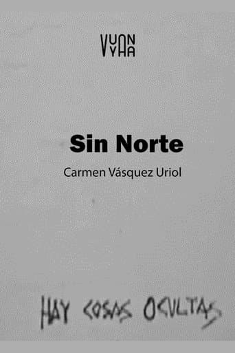 Sin Norte afişi