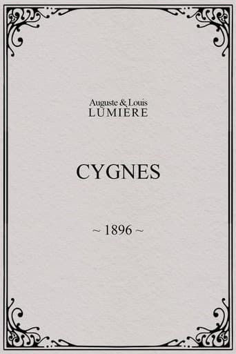 Cygnes afişi