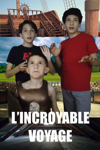 L'incroyable voyage afişi