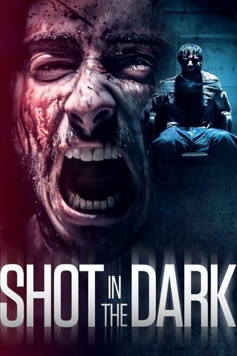 Shot in the Dark afişi