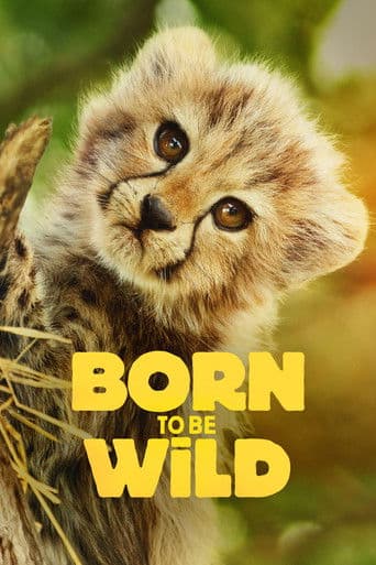 Born to Be Wild afişi