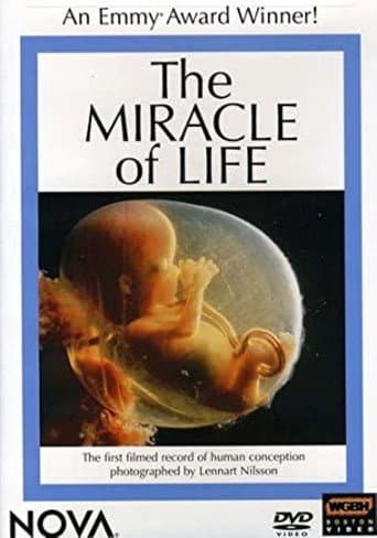 The Miracle of Life afişi