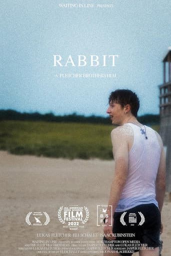 RABBIT afişi