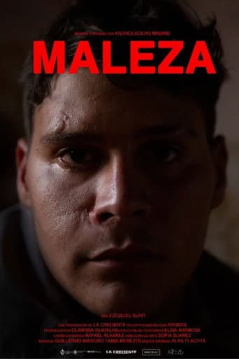 Maleza afişi