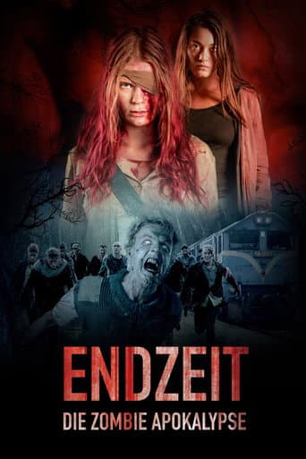 Endzeit afişi