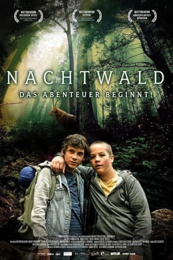 Nachtwald afişi