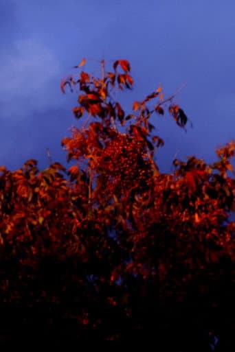 Beneath the Beams of Noon