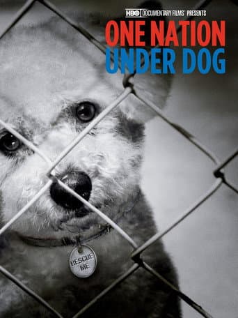 One Nation Under Dog: Stories of Fear, Loss and Betrayal