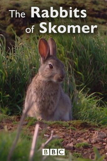 The Rabbits of Skomer afişi