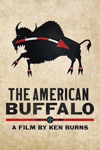 The American Buffalo afişi