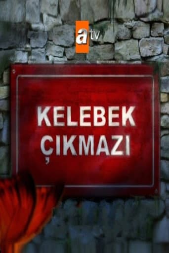 Kelebek Çıkmazı afişi