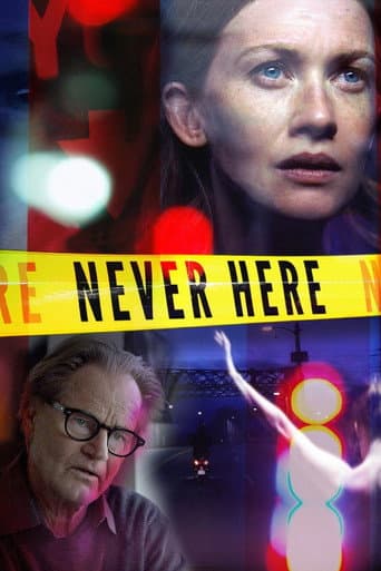 Never Here afişi
