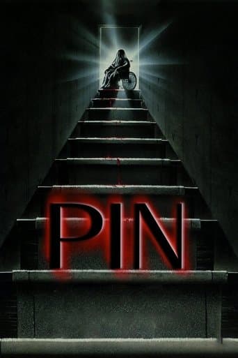 Pin afişi