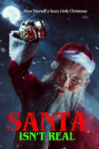 Santa Isn't Real afişi