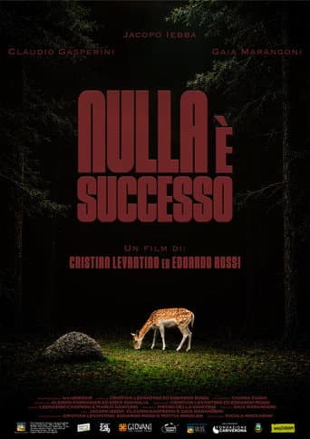 Nulla è successo afişi