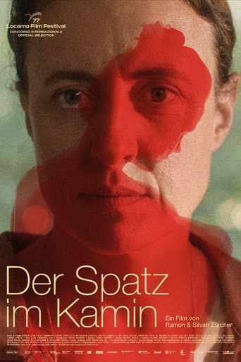 Der Spatz im Kamin afişi