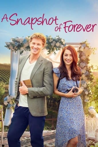 A Snapshot of Forever afişi