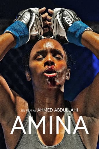 Amina afişi