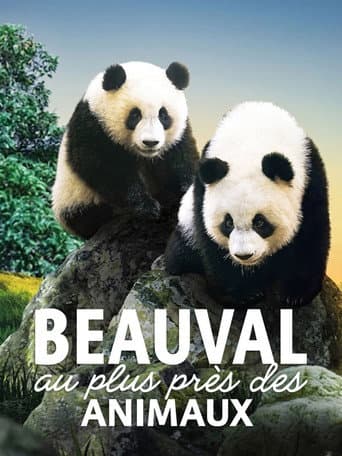 Beauval, au plus près des animaux afişi