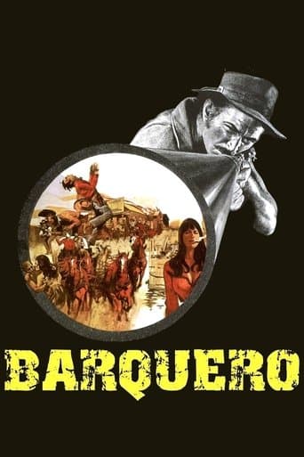 Barquero afişi