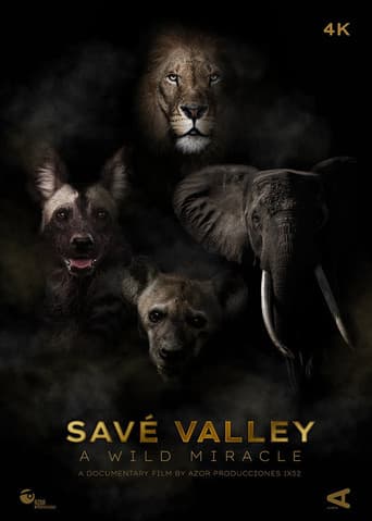 Savé Valley. A Wild Miracle afişi