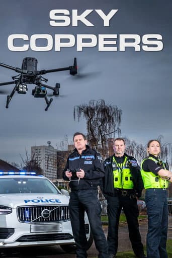 Sky Coppers afişi