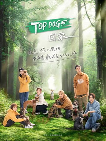 TOP DOG afişi