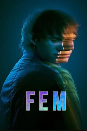 FEM afişi